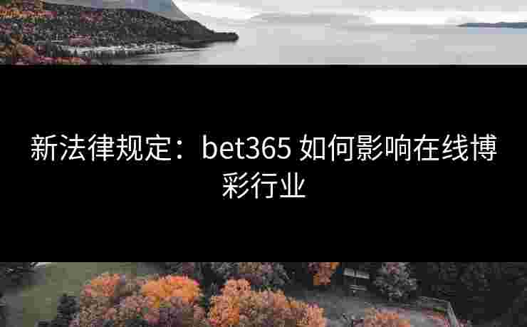 新法律规定：bet365 如何影响在线博彩行业