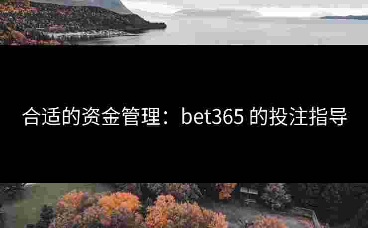 合适的资金管理：bet365 的投注指导